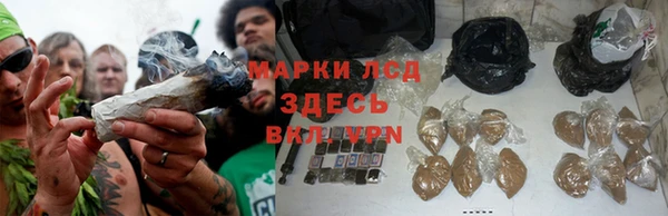 крисы Богородск