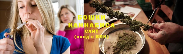 гидра Богородицк