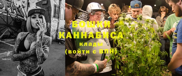 гидра Богородицк