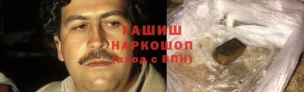 гидра Богородицк