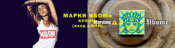 гидра Богородицк