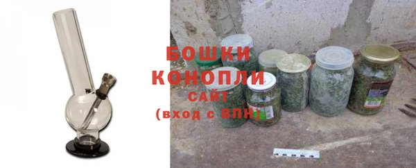 гидра Богородицк