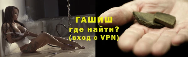 гидра Богородицк