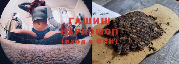 гидра Богородицк