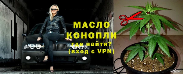 гидра Богородицк