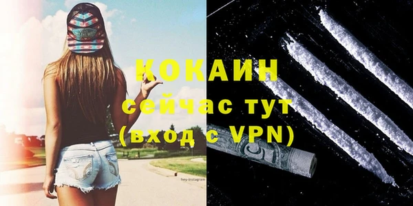 сатива Богданович