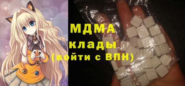 гидра Богородицк