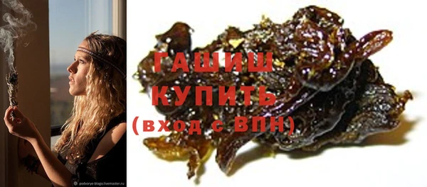 гидра Богородицк