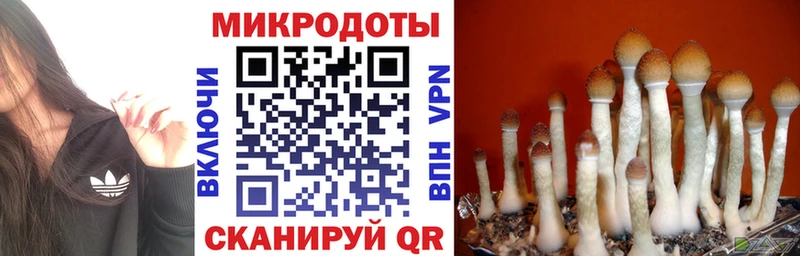 даркнет сайт  Малоярославец  Галлюциногенные грибы Magic Shrooms 